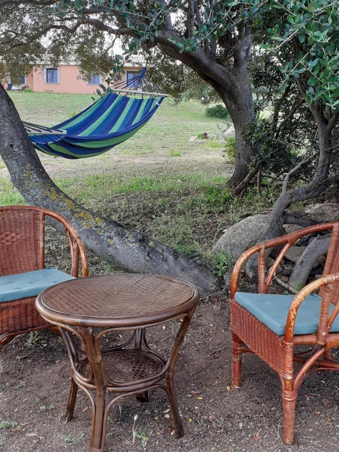 Agriturismo Gli Olivastri -Appartamento Bel Vedere Con Piscina ,Solarium E Vista Mare,Climatizzatore ,Wifi Aglientu Luaran gambar
