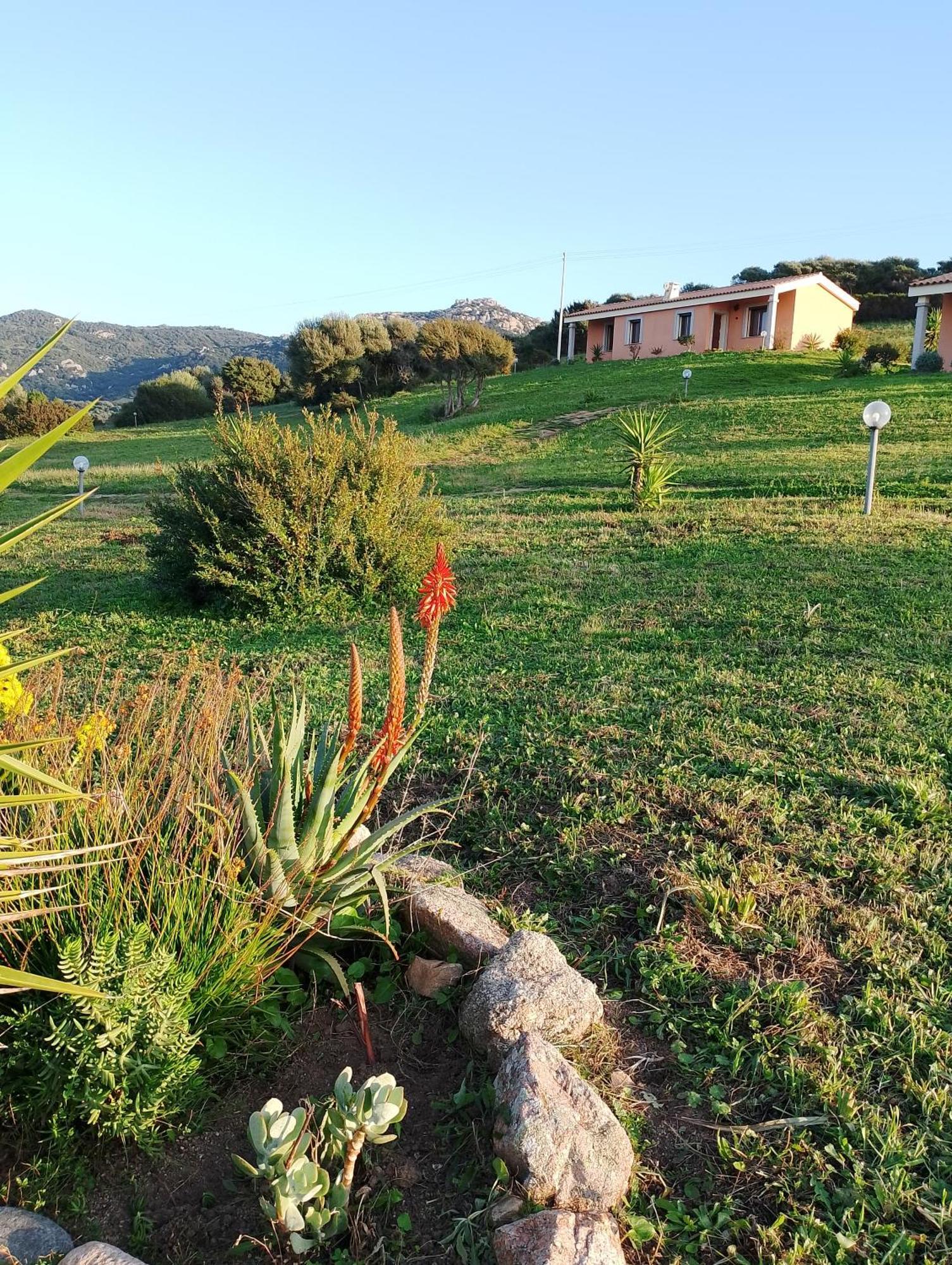 Agriturismo Gli Olivastri -Appartamento Bel Vedere Con Piscina ,Solarium E Vista Mare,Climatizzatore ,Wifi Aglientu Luaran gambar