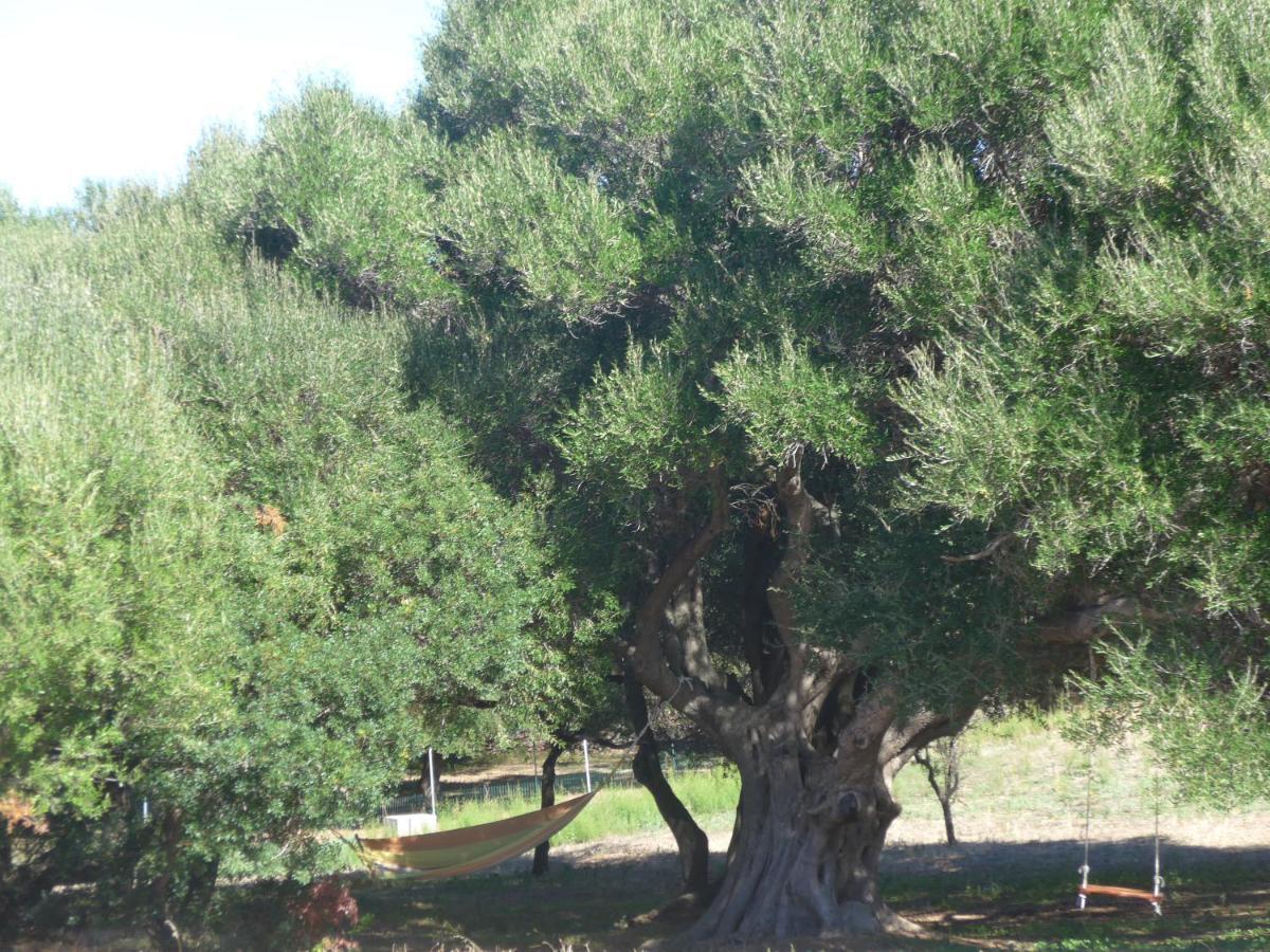 Agriturismo Gli Olivastri -Appartamento Bel Vedere Con Piscina ,Solarium E Vista Mare,Climatizzatore ,Wifi Aglientu Luaran gambar